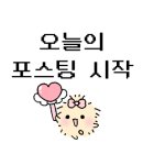 태리제화 이미지