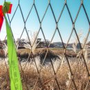 염하강철책길 이미지