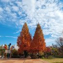 대구녹색학습원 단풍 대구농업마이스터고등학교 이미지