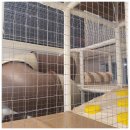 키카 키즈풀빌라 이미지