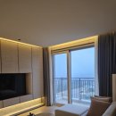 소노펠리체 델피노 이미지