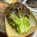 오리네 | 연제구 연산동 오리고기 맛집 ‘오리네’ – 땡초 가득한 숯불오리구이 찐 후기 츄릅켠도 반한맛