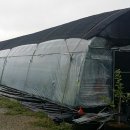 아리농장 이미지