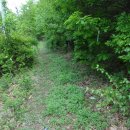 성암농장 이미지