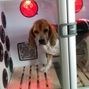 카페 프랜즈 이미지