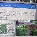 가양 쉼터