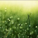 Isaac Shepard / Swept Away 이미지