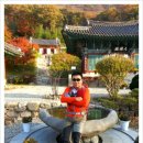 단풍이야기 이미지
