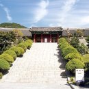 소나무부분정비 이미지