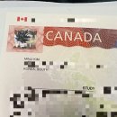 다뽑아가라 이미지