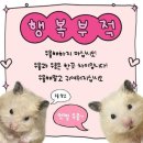 바다소풍펜션