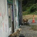 당진불교용품 | 안면도 당일치기 여행코스 | 밥 카페 소품샵.. 그리고 절까지 | 힐링 느좋 코스시다