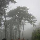 등대목장 이미지