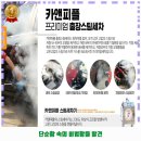 믿음카세차장 이미지