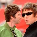 오아시스 이미지