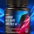 유케어핏