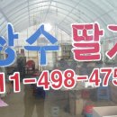 상수농장 이미지