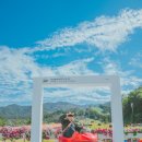 월드권투체육관 이미지