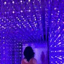 통리장 코스 이미지