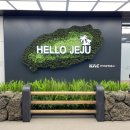 4CUS롯데백화점 | [임신 27주~28주] 임신 8개월 증상 및 태아 무게와 크기 / 27주 제주 태교여행 & 28주 고향 친정 힐링...