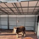 바우가든 | 겨울여행) 파주 퍼스트가든 입장료 무료 이벤트로 방문! 내돈내산후기