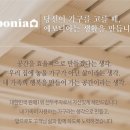 에보니아주 이미지