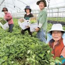 인덕농장 이미지