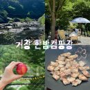 한밤 | 경남 계곡 캠핑장 추천 <거창 한밤캠핑장> 당일 캠프닉 후기