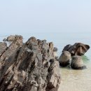 오션 스파 짐 이미지