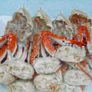 원조꽃게장 이미지