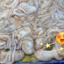 고흥상회 이미지