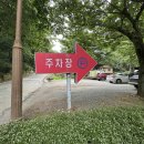 비봉식당 티스토리