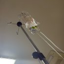 우리산부인과의원 | 제왕절개 1일차 기록 우리기쁜 산부인과 출산후기