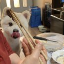 그린식육유통 이미지