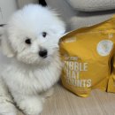 인프라소닉웨이브 이미지