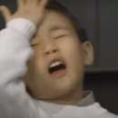 강릉순두부젤라또