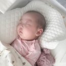 넷패밀리(주) | 패밀리침대 고민 끝, 매장 방문 후 구매한 후기 (더베드캠프511)