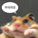 SK 동우카프라자 | 이곳의 여름이 너무나 눈부셔