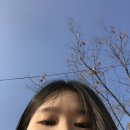 연주하다가 무대 위에서 눈물 흘리는 연주자가 있다? (1115-1118)