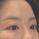늘래쉬