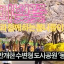 낙동강변로-3 이미지