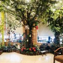 아이조아패밀리한의원 이미지