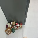 제1신정주유소 | 울산 남구 네일샵 : 네일드잇 신정점 문제성발톱 아크릴패디 내돈내산 솔직후기