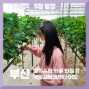 (주)초록배낭 이미지