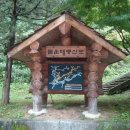 몰운대 등산로 입구 이미지