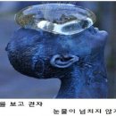 아싸가오리 이미지