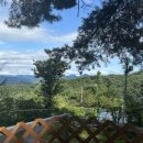 아리아리 숲속의 야영장 이미지