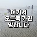 방아머리 | 대부도 방아머리 갯벌체험 후기 초등아이랑 조개캐기 안개 분위기 대박