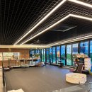 몽몽이 애견미용 이미지