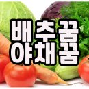 생생청과야채 이미지